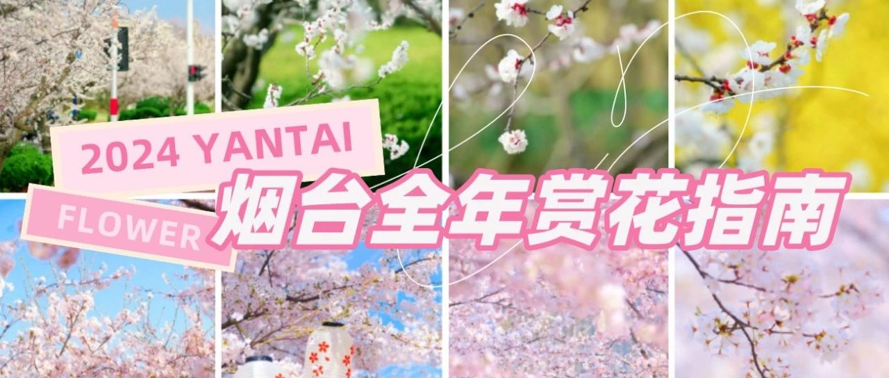 闯进花花世界！『烟台全年赏花指南』快收藏→