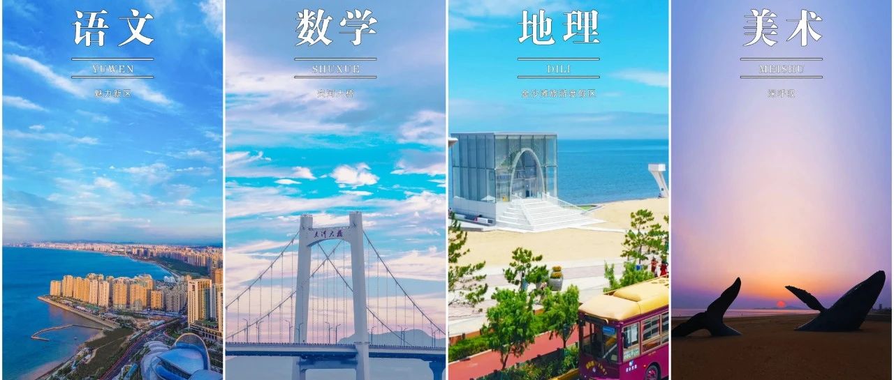 适配度满分！这样的课本封面，有点小惊艳~