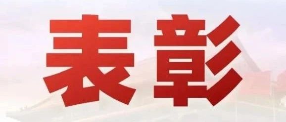 省级表彰！这些个人和集体上榜