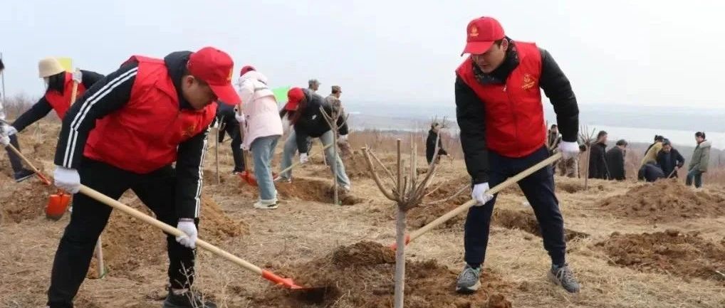 共建美丽家园！我市开展义务植树造林活动