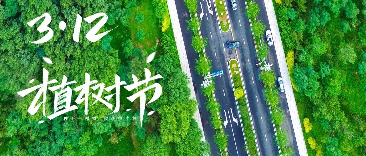 这个春天一起来烟台黄渤海新区“森”呼吸~