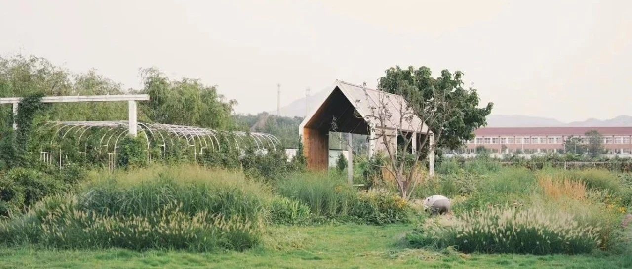 春游莱山②｜藏不住了！莱山zui美田园旅游攻略上线！每一个都想去，建议收藏！