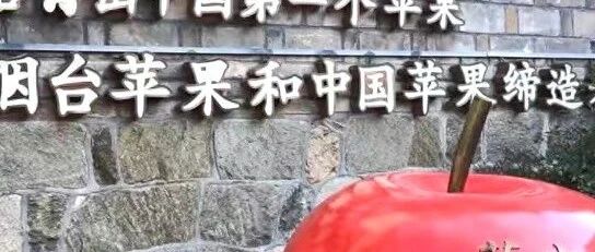 乡村振兴齐鲁样板丨从“中国现代苹果开源”到君恬果园