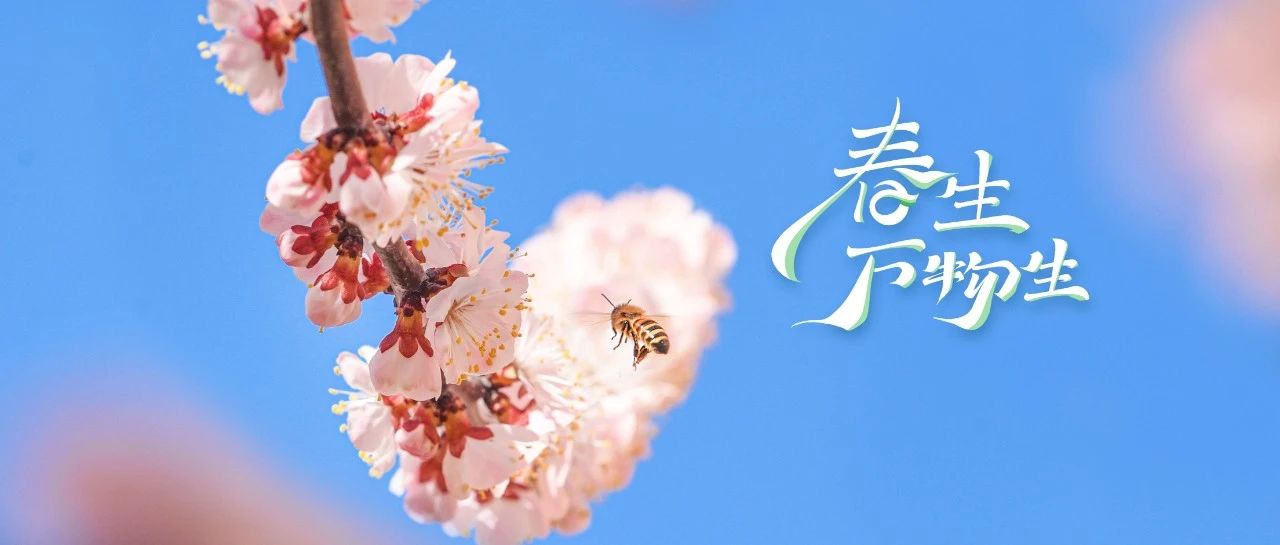 “花”一秒踏进新区的春天！