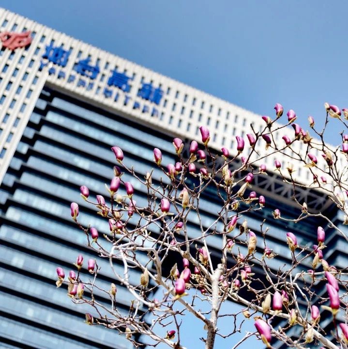 初春，来烟台高新区邂逅一场浪漫花事！