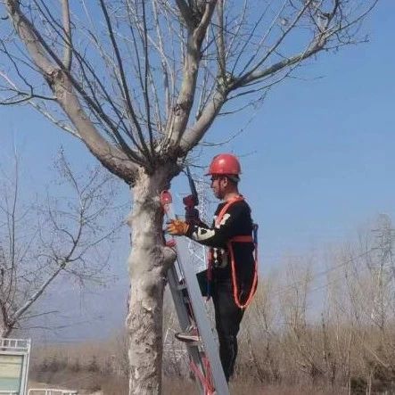 招远：春回大地迎新貌，最美公路修剪忙