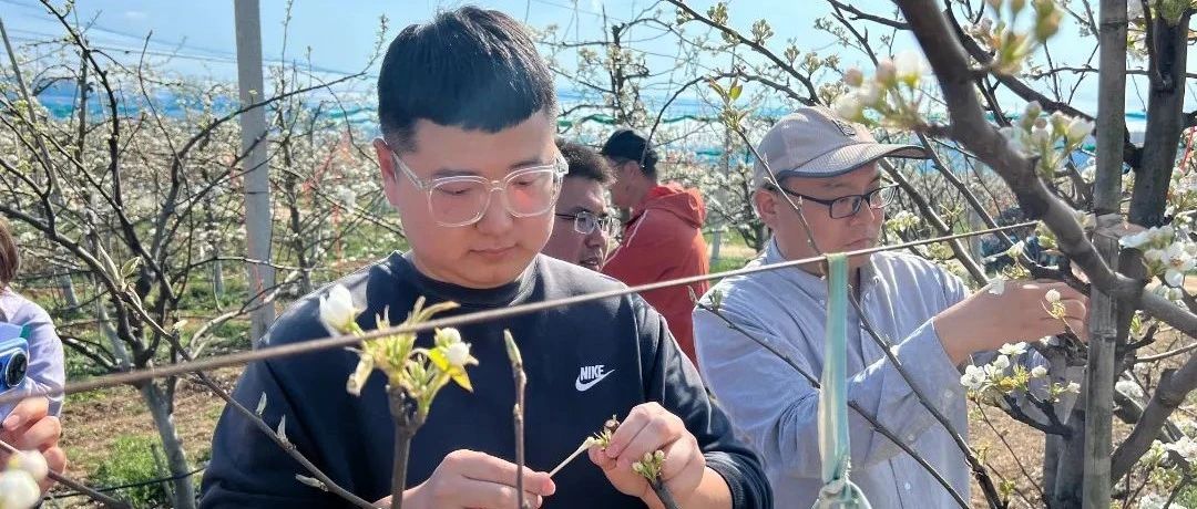 莱山区：唱响田间地头科技之歌 科技创新助力乡村振兴发展