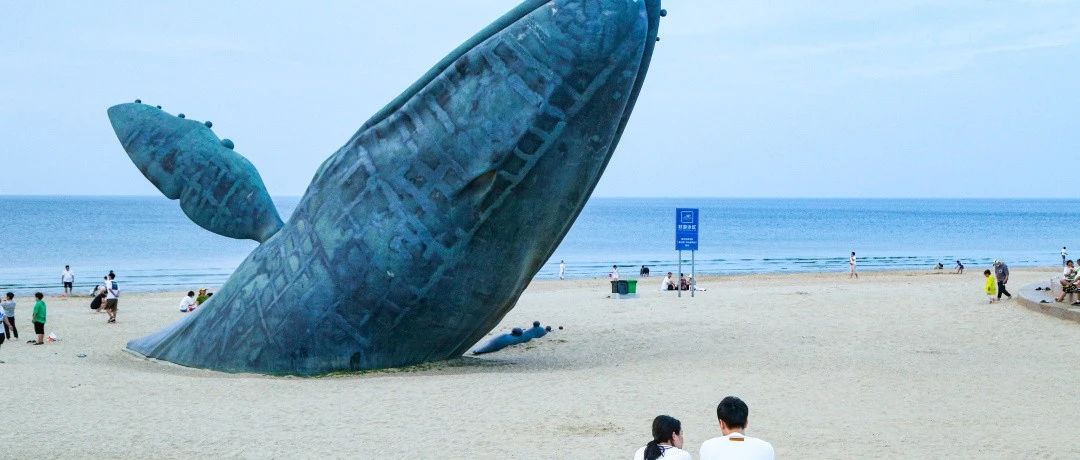 打造城市IP，烟台黄渤海新区有话说