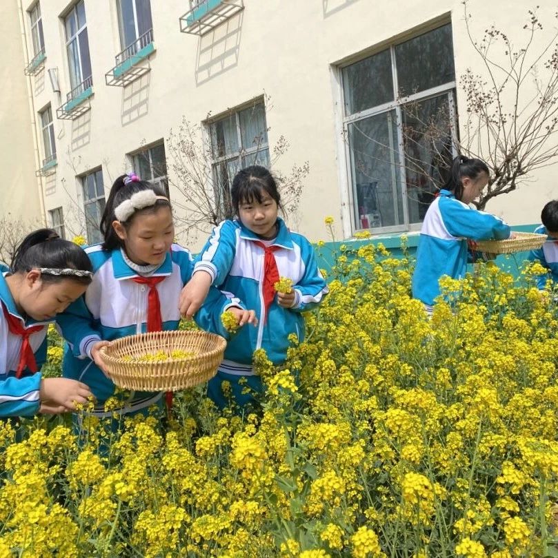 劳动节，记录不一样的烟台学子身影