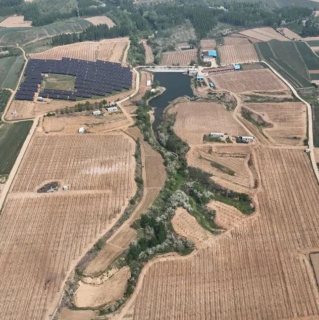 200余亩现代化综合产业园开园！招远农鑫打造助农增收“新引擎”