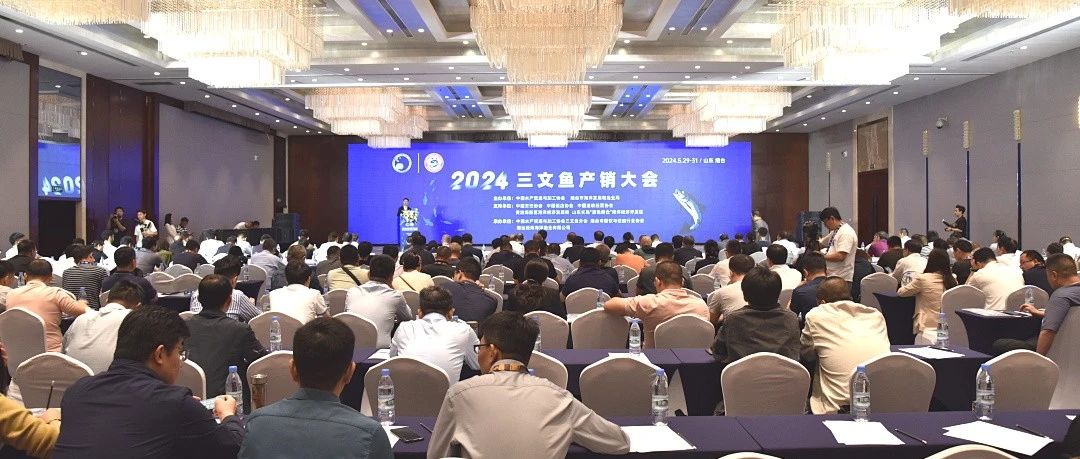 2024三文鱼产销大会在烟台黄渤海新区召开