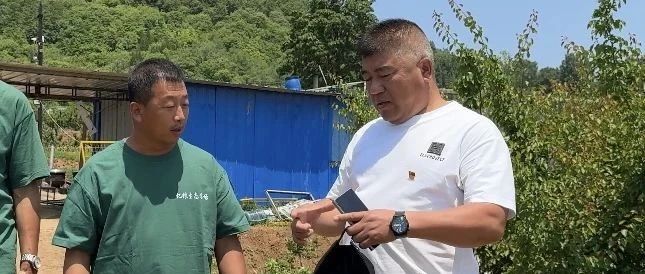 【致敬30年 共谱新篇章】莱山街道金村党支部书记、村委会主任曲永政：颗颗小红薯  致富大文章