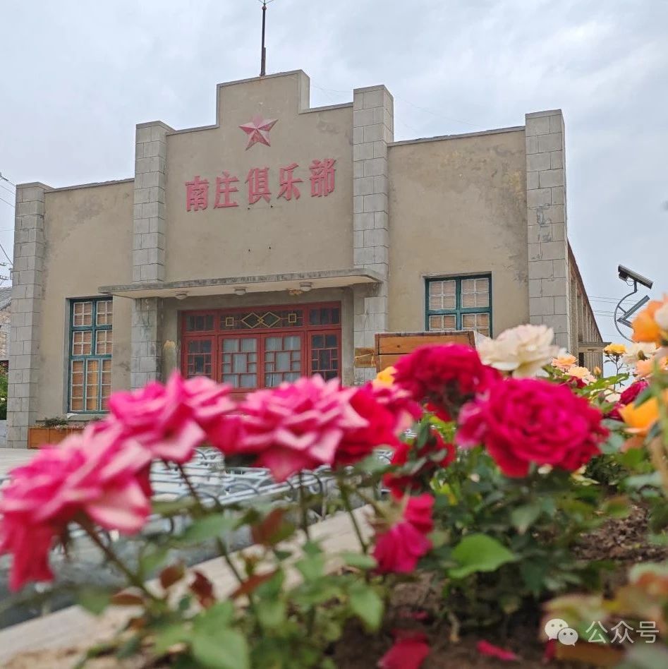 长岛黑山乡：鲜花布局美乡村 如画海岛文旅兴