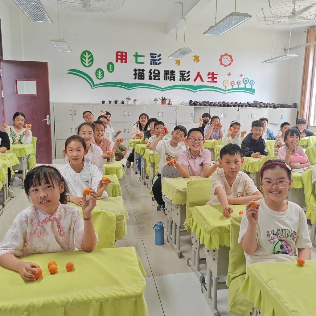 烟台高新区实验小学开展杏子采摘实践活动