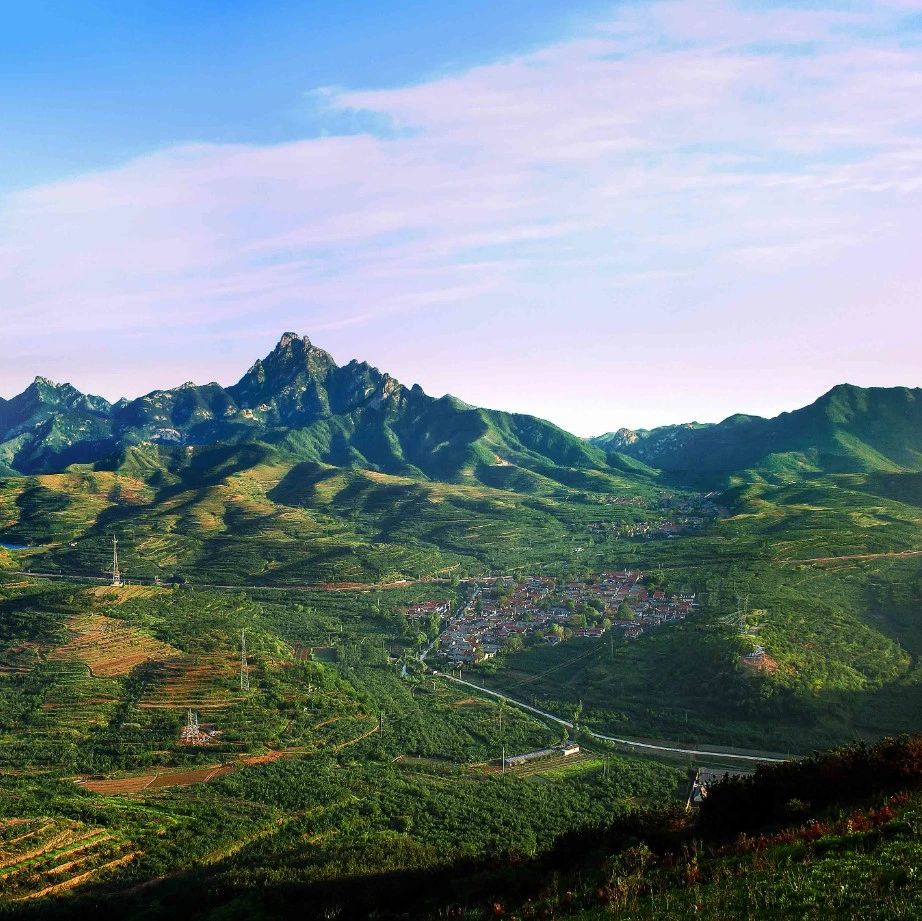 栖霞观里镇：爱国教育进大集，凝心铸魂促发展