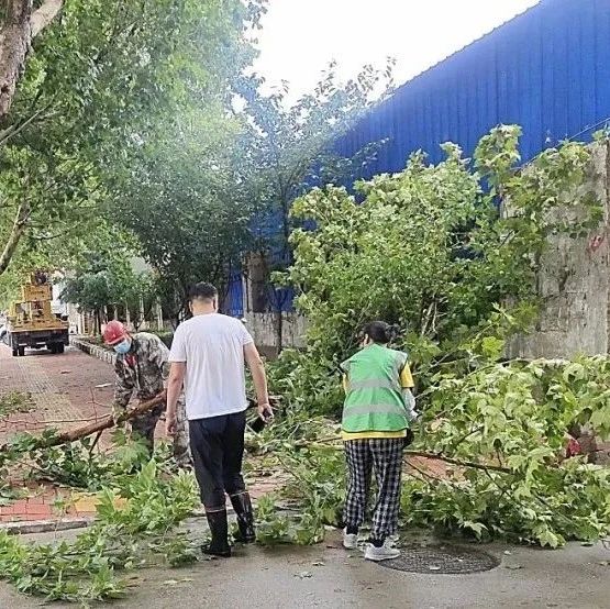 持续降雨，招远园林中心抓好绿地防汛