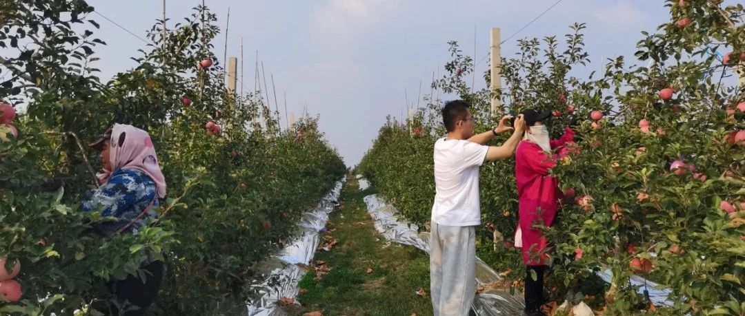 招远阜山镇：坚持党建联动工作特色，激活乡村振兴“新引擎”