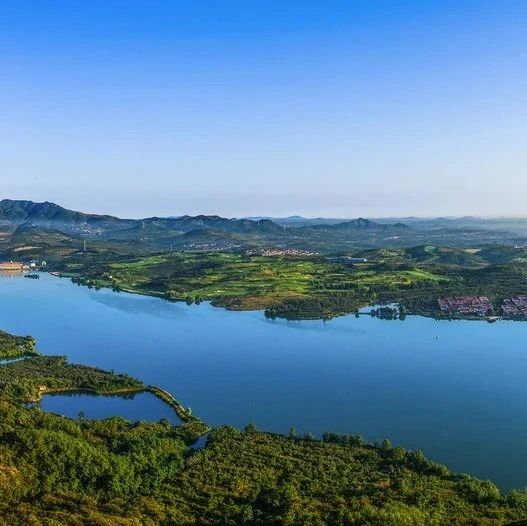 栖霞市行政审批服务局：“特好办”助力高效办成一件事