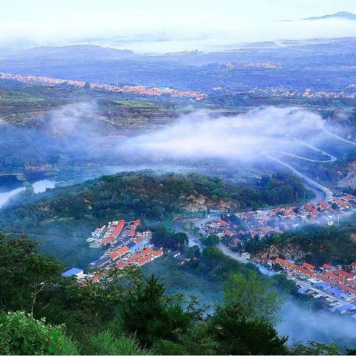 栖霞城市管理“随手拍”上线运行，解决群众身边城市管理“烦心事”