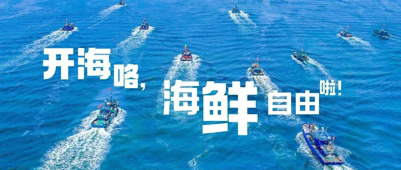 千帆竞发耕蓝海  满载而归鱼满仓