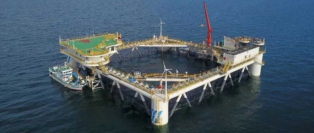 秋收鱼虾满仓，长岛耕海牧渔奏响“蓝色乐章”