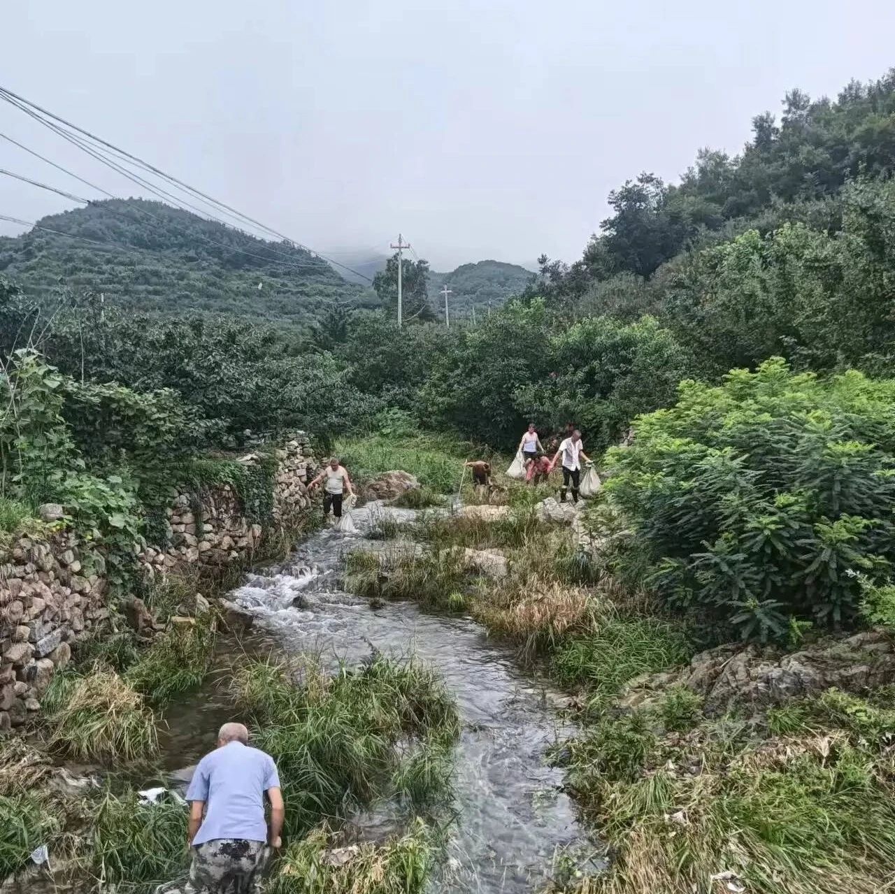 栖霞唐家泊镇秋收卫生两不误 展现河道新容颜