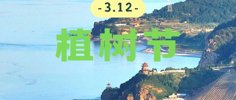 长岛：坚持植树逾70年，绿水青山带笑颜