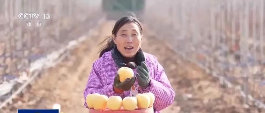 用英语卖苹果的霞姐火了 年近六旬她说人生没有“合适”的年龄