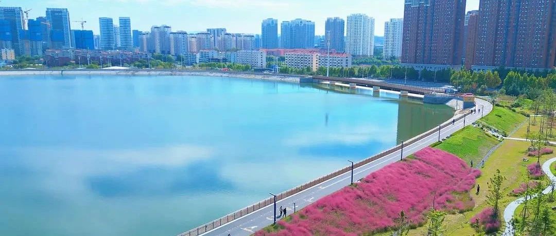 凤凰湖：湖景焕新生，解锁高品质生活