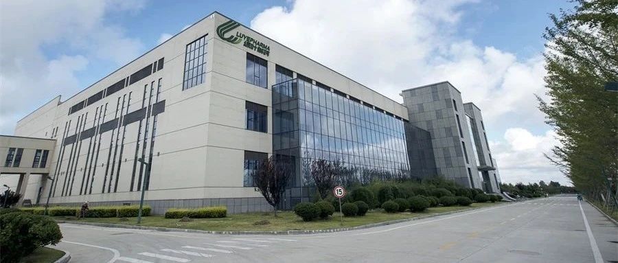 绿叶制药罗替高汀贴片在英国上市，用于治疗帕金森病和不宁腿综合征