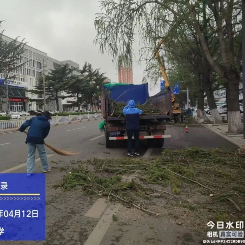 闻“风”而动！招远积极应对大风天气，筑牢城市安全防线