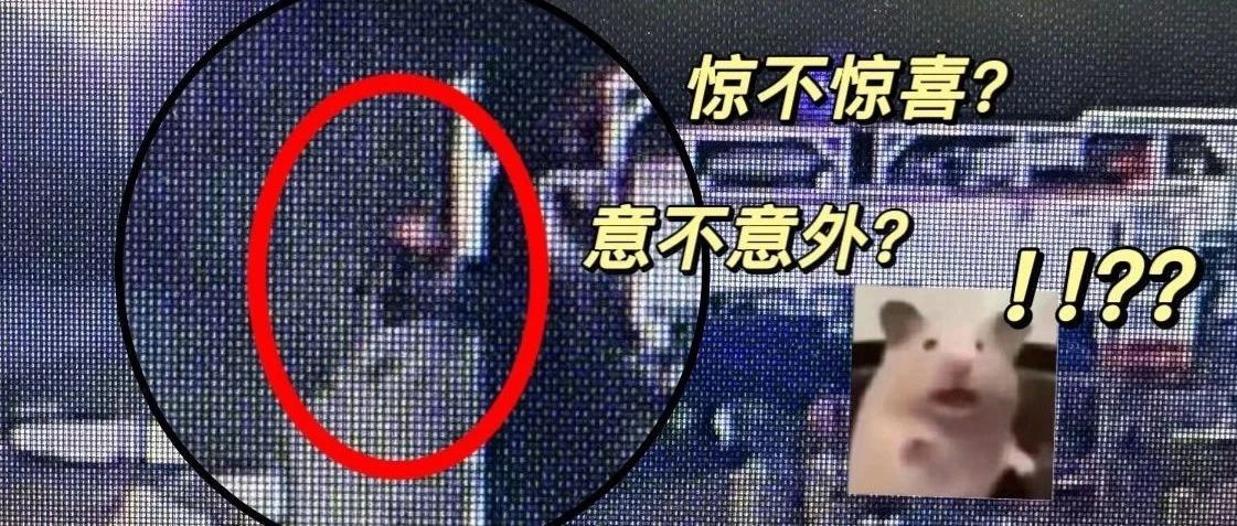 速破！这3人落网！
