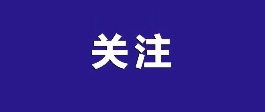 莱山这一路段明年10月完工！
