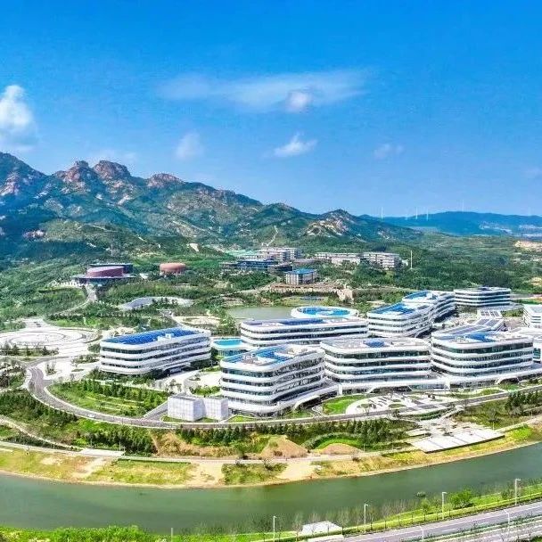 烟台黄渤海新区：攀“新”而上，企业创新动能澎湃