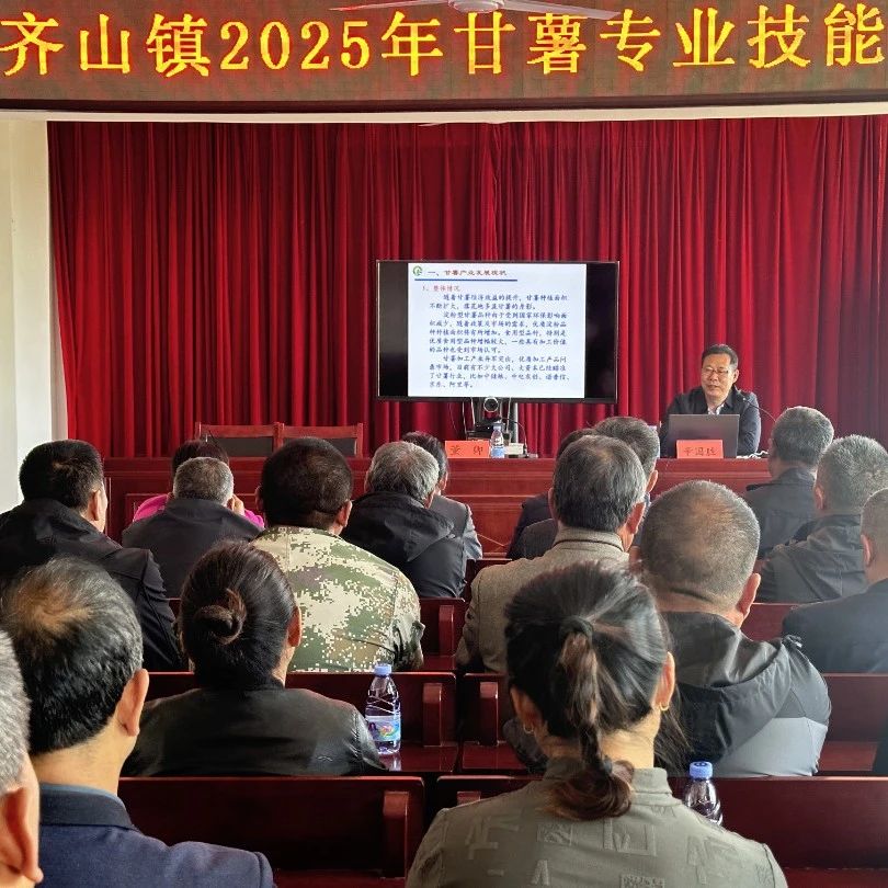 招远市甘薯专业技能培训为“齐山蜜薯”注入能量