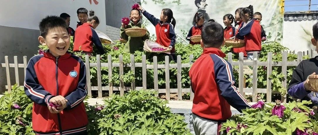 五一限定版精彩！看烟台少年“袖”出劳动真章