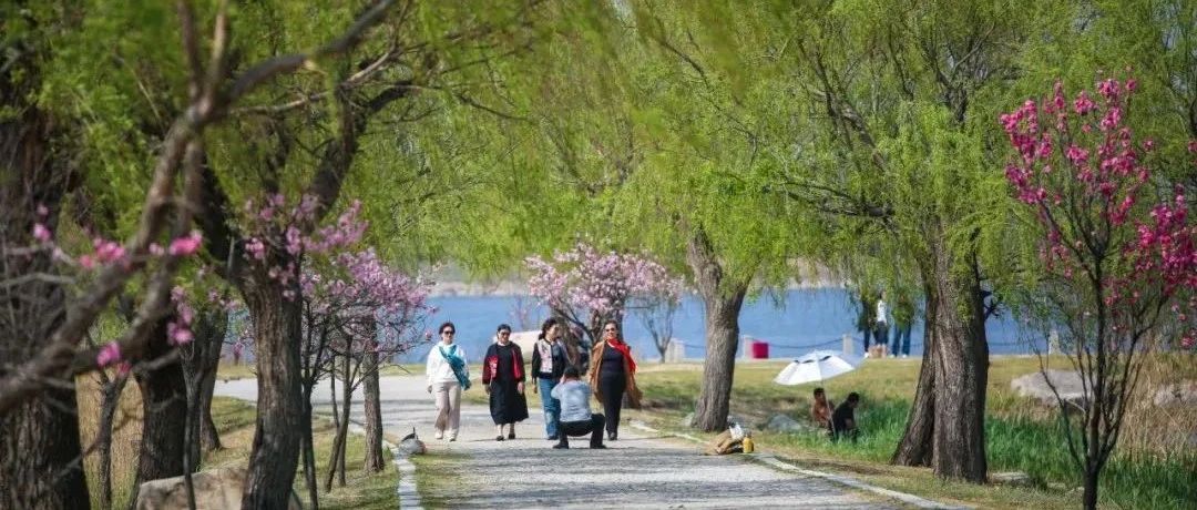 31万人次！莱州“五一”假期文旅成绩单出炉！