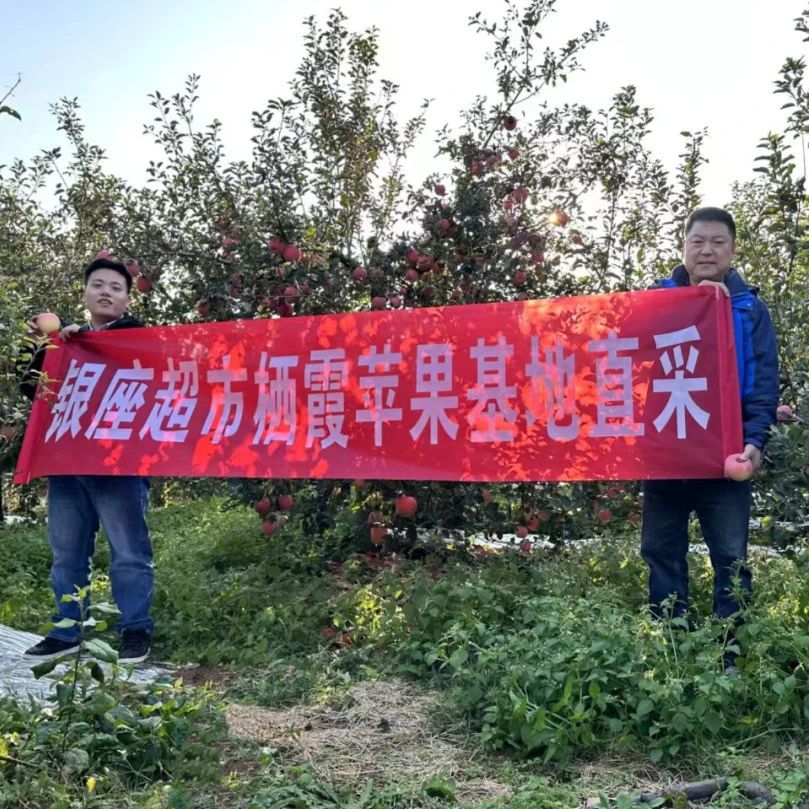 栖霞市商务局创新苹果直供机制 激活省城市场