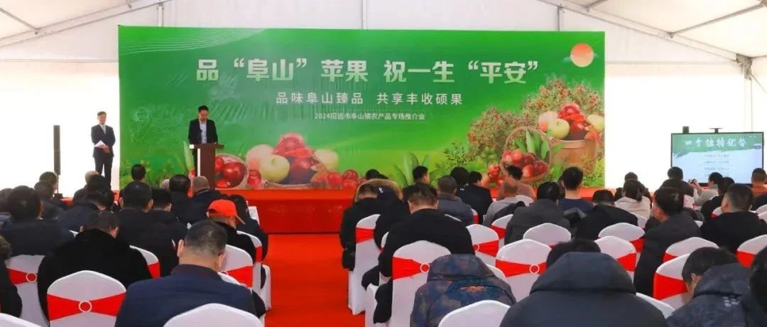 【推进中国式现代化金都实践】做好“三项服务”持续推进党建堡垒建设工作
