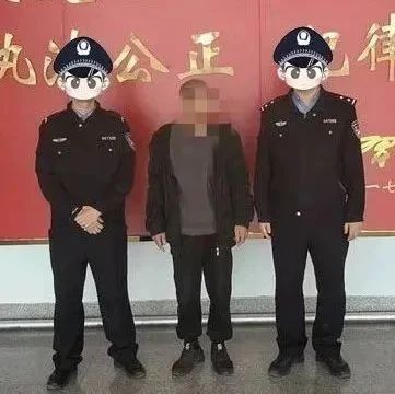 多人落网！招远公安连破多起侵财案件……