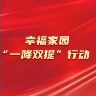 【幸福家园“一降双提”行动】龙口市：强化溯源治理 共绘小区精治图景