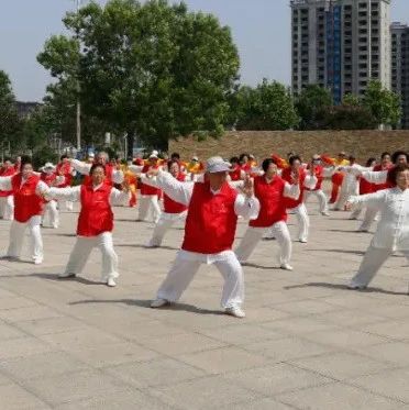 龙口市成功举办“好运山东”2025全国老年人太极拳健身大联动展演