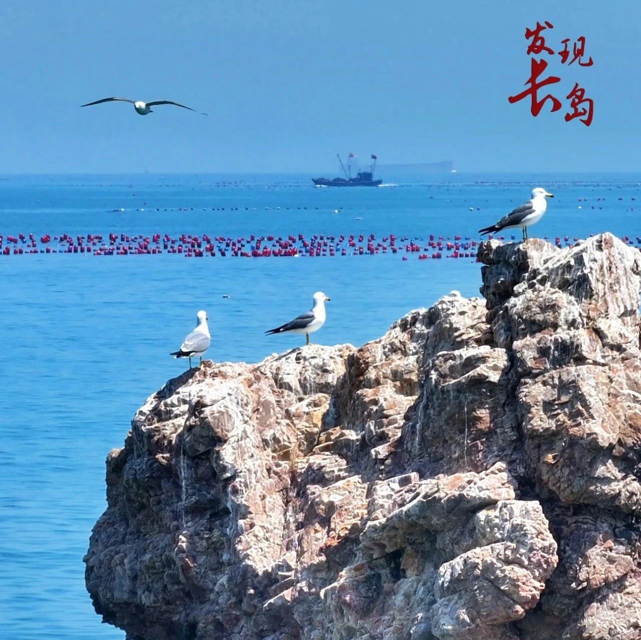 【发现长岛】