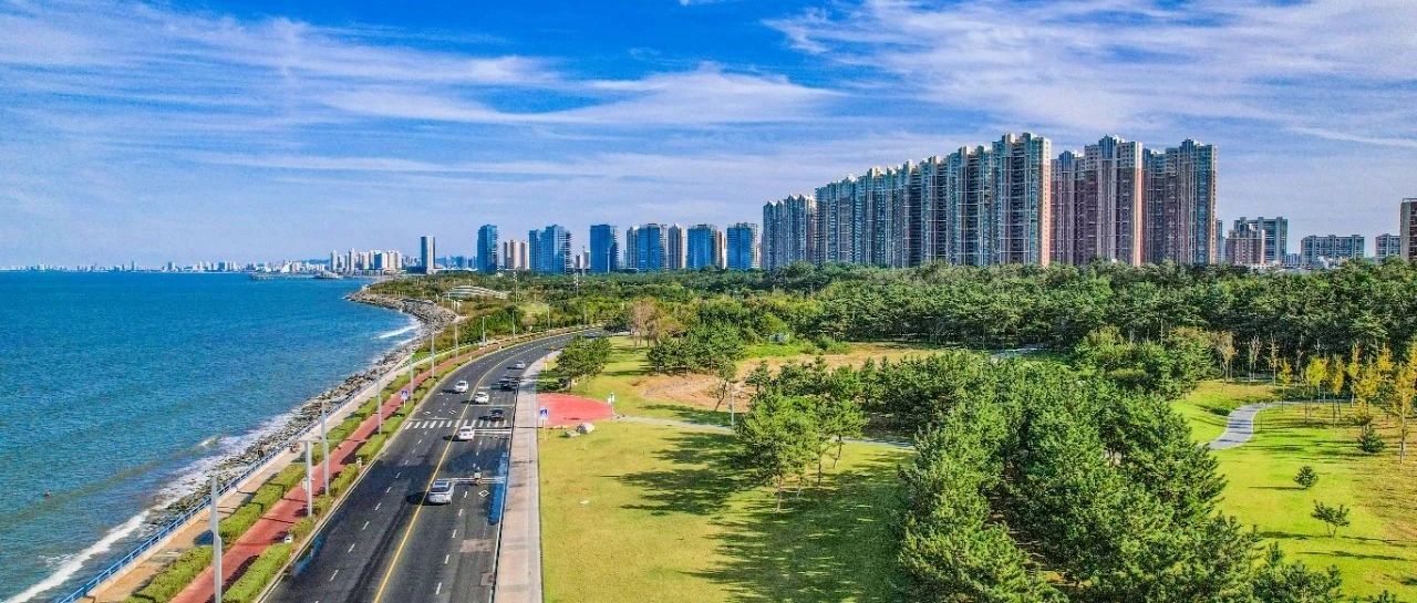烟台黄渤海新区：“三色融合”绘就基层善治新图景