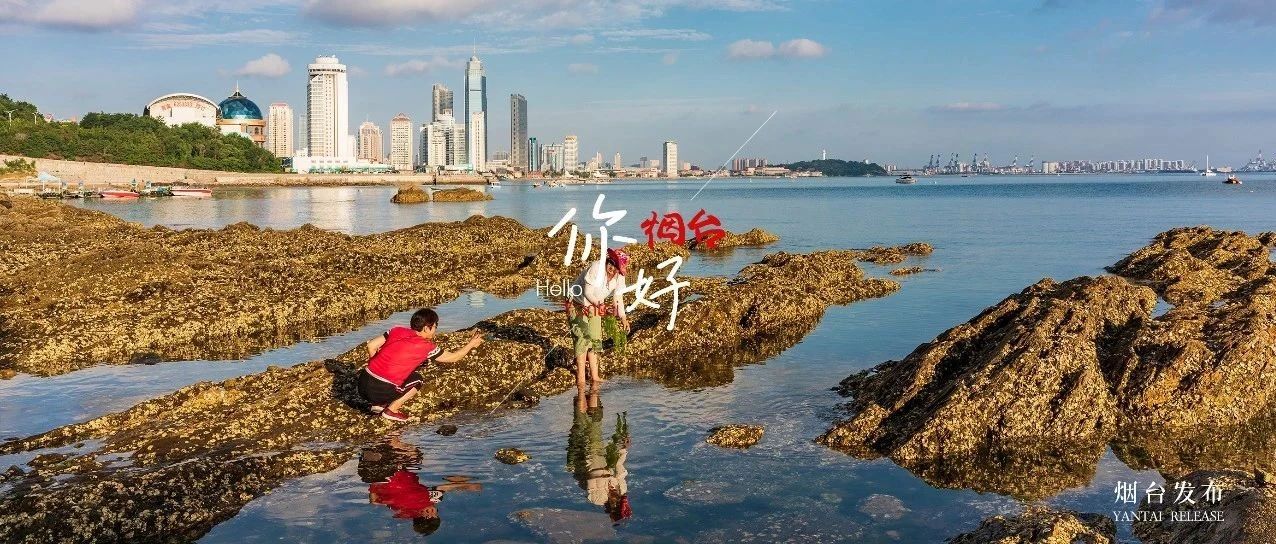 【你好  烟台】赶海拾趣，城市与海的浪漫协奏~