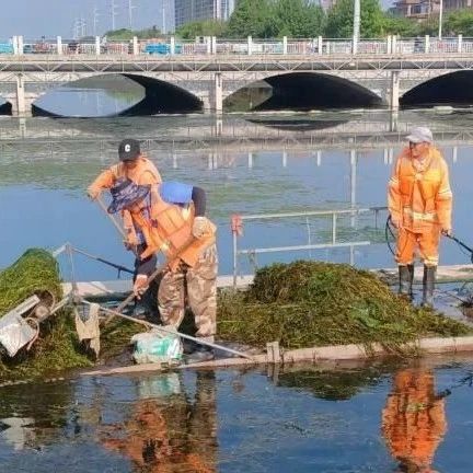 水体杂草“大扫除”，让河道畅快“呼吸”！