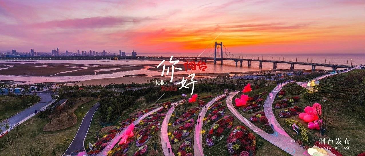 【你好  烟台】烟台版 “多巴胺” 风景，美到出圈！