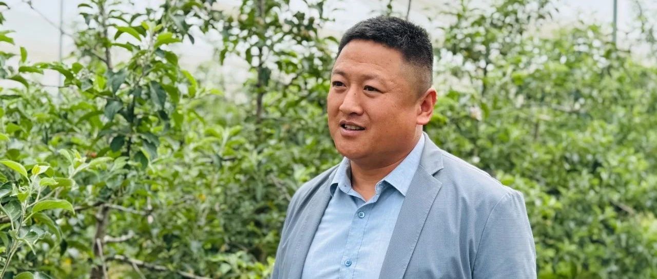 新农人 兴乡村｜宫帅：5年带富500户  让苹果树种成