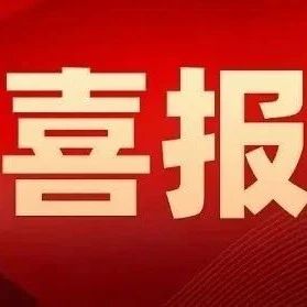 玲珑轮胎入选省级工业领域行业大模型“揭榜挂帅”攻关项目