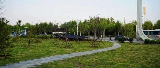 闲置空地“变形记”，12天解锁1800㎡生态新生活